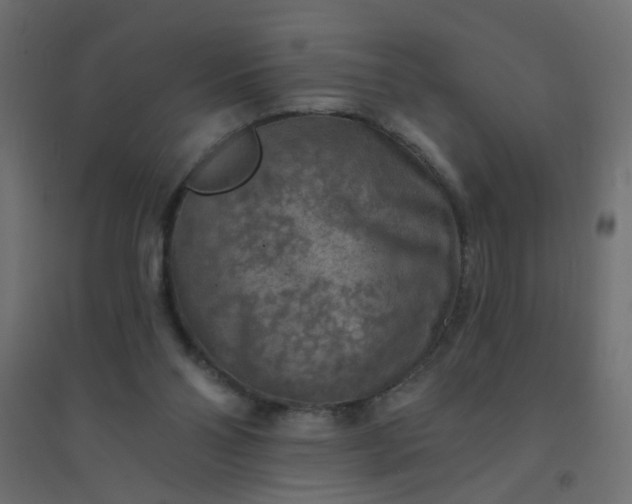 X0000094460110200711211549