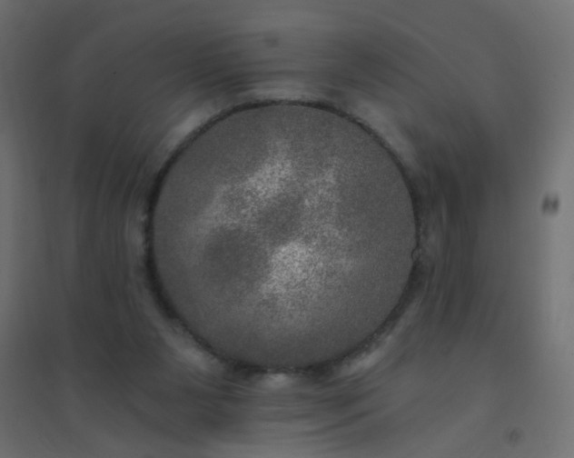 X0000094460111200711211549