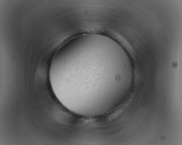 X0000094460113200711211549