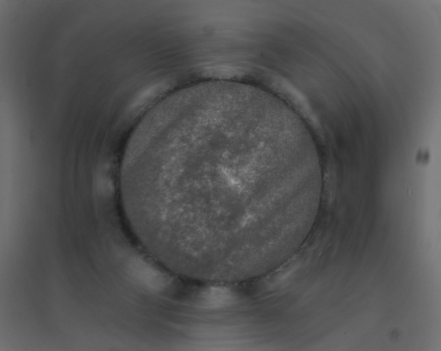 X0000094460114200711211549