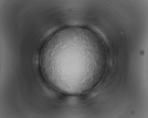 X0000094460115200711211549