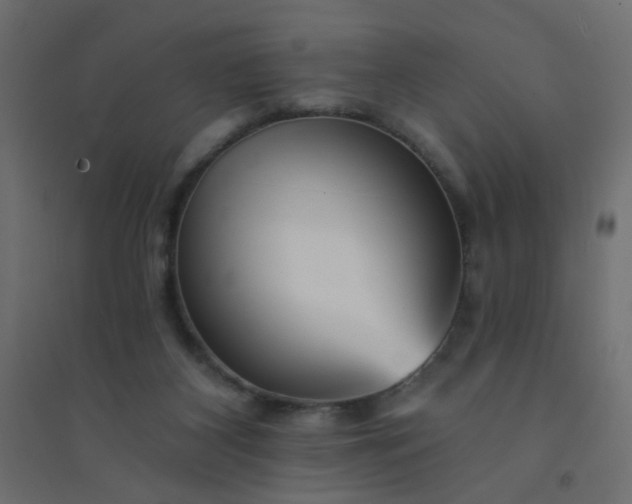 X0000094460116200711211549