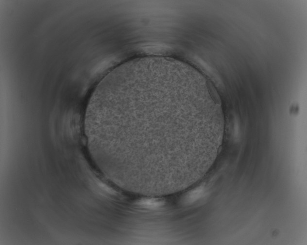 X0000094460117200711211549