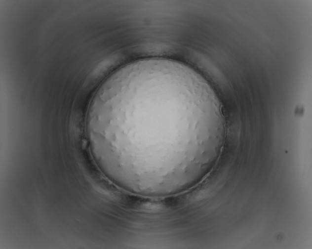 X0000094460119200711211549