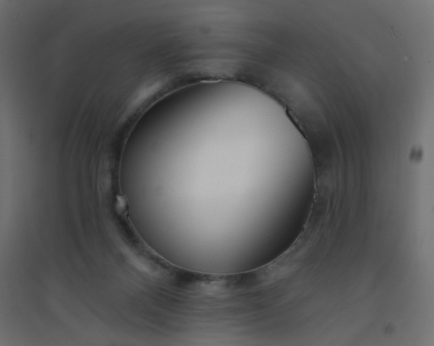 X0000094460120200711211549