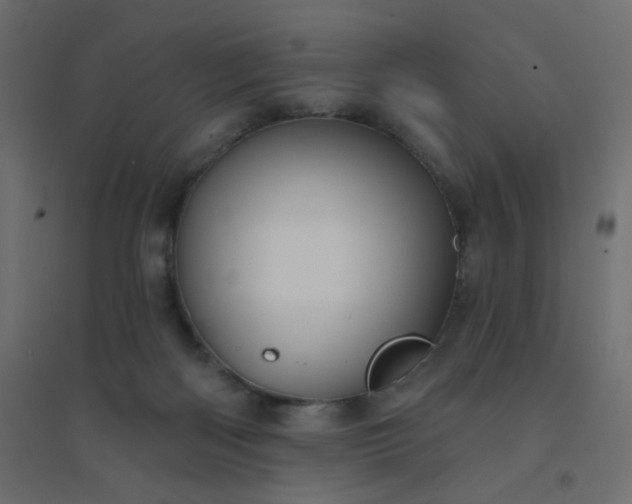 X0000094460122200711211549