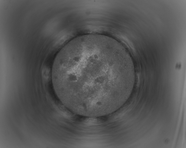 X0000094460123200711211549