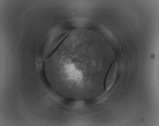 X0000094460124200711211549