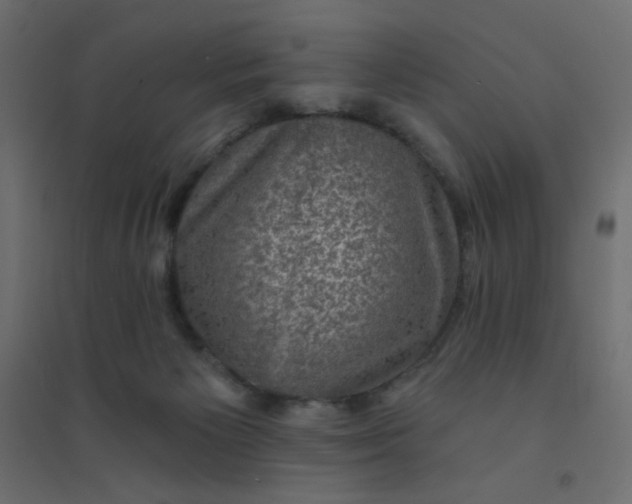 X0000094460125200711211549