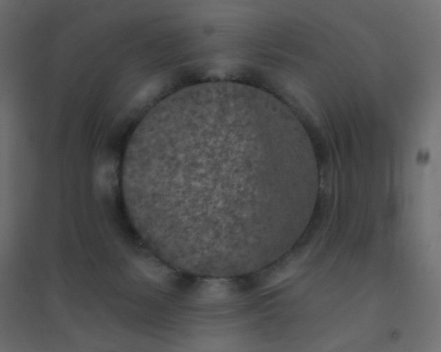 X0000094460127200711211549