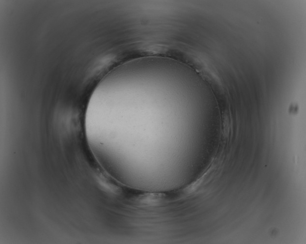 X0000094460128200711211549