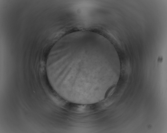 X0000094460130200711211549