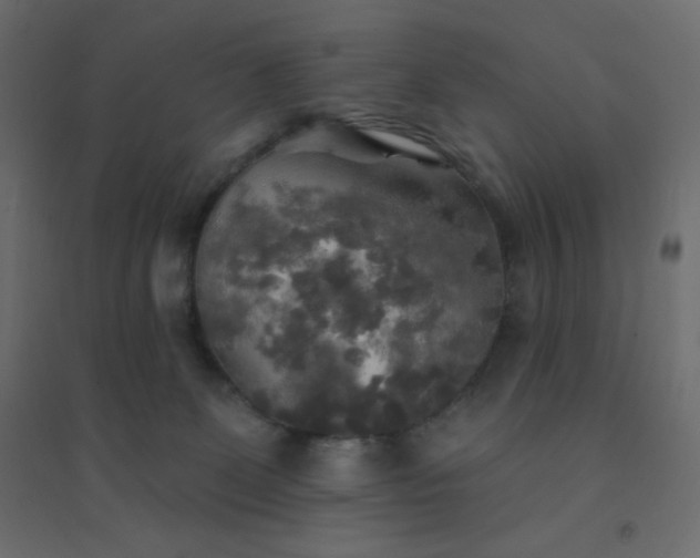 X0000094460131200711211549