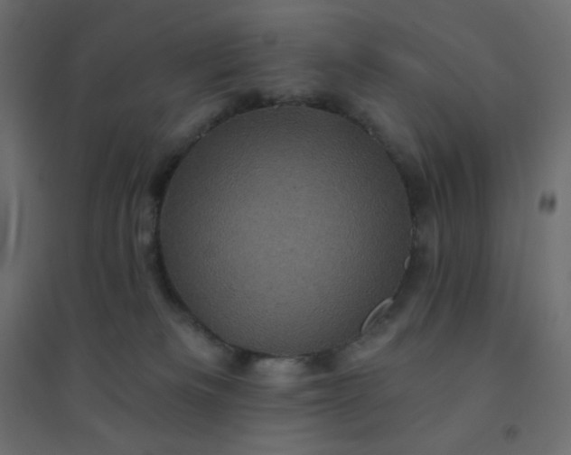 X0000094460133200711211549