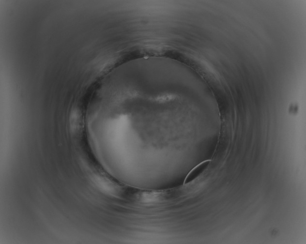 X0000094460134200711211549