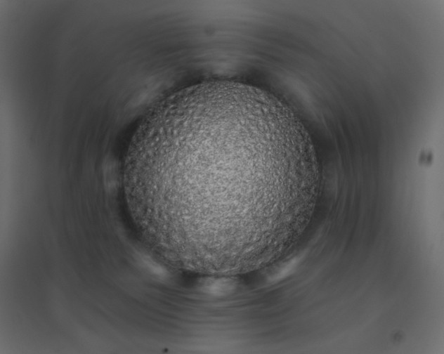 X0000094460135200711211549