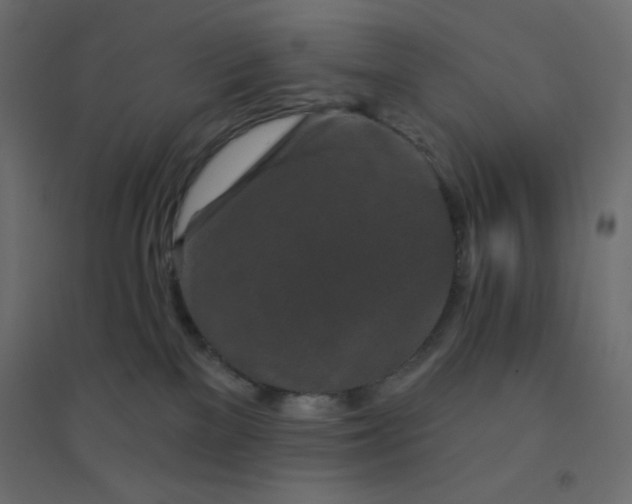 X0000094460137200711211549