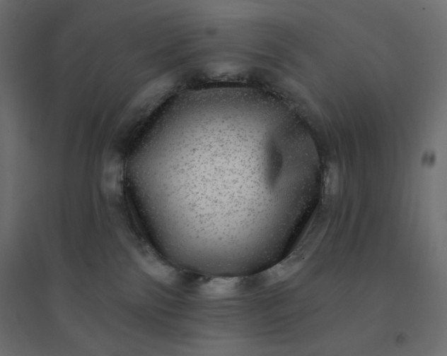 X0000094460138200711211549