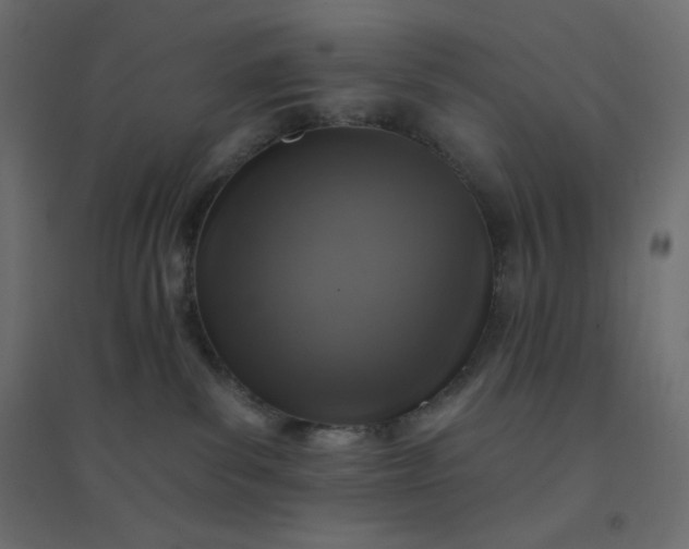 X0000094460139200711211549