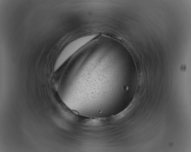 X0000094460140200711211549