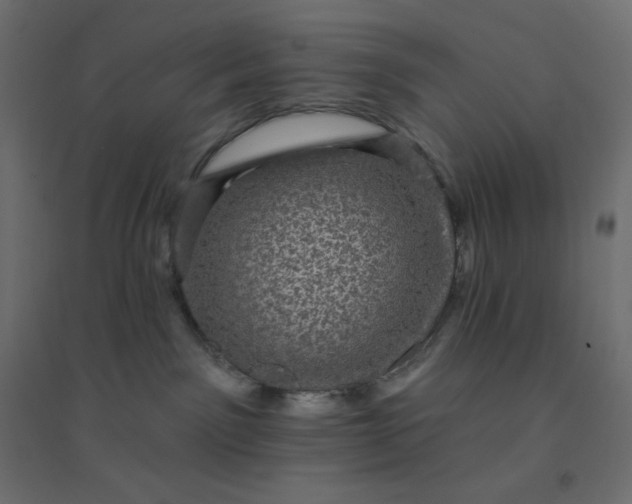 X0000094460141200711211549