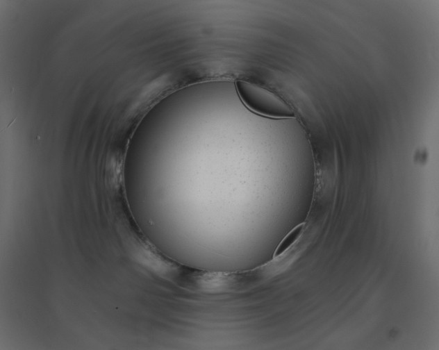 X0000094460142200711211549