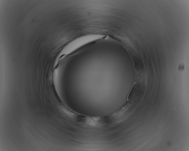 X0000094460143200711211549