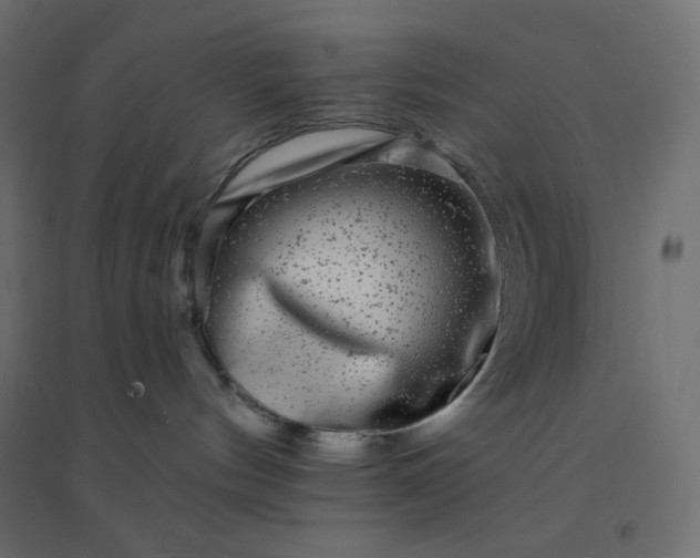 X0000094460144200711211549