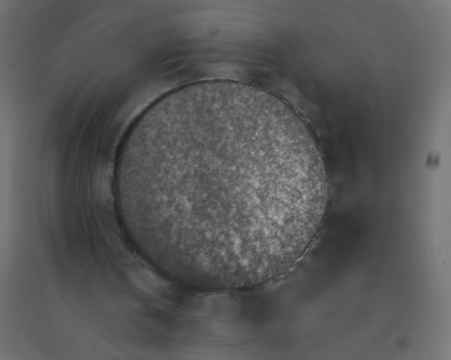 X0000094460146200711211548