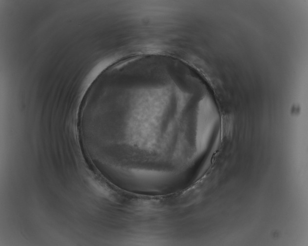 X0000094460147200711211548