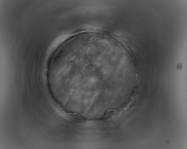 X0000094460149200711211548