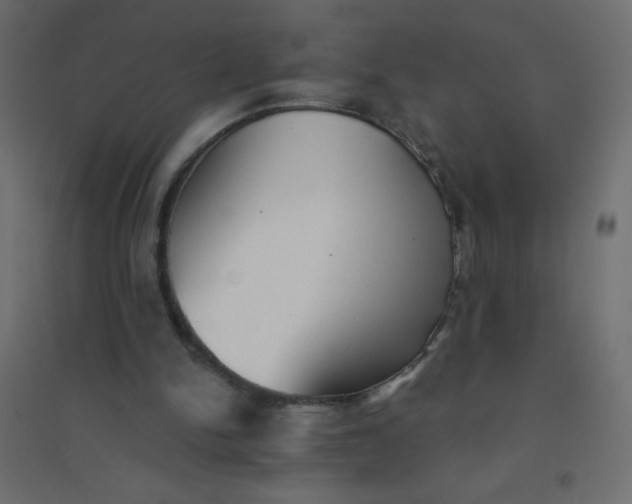 X0000094460150200711211548