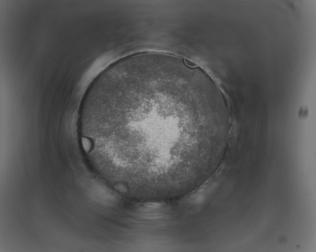 X0000094460151200711211548