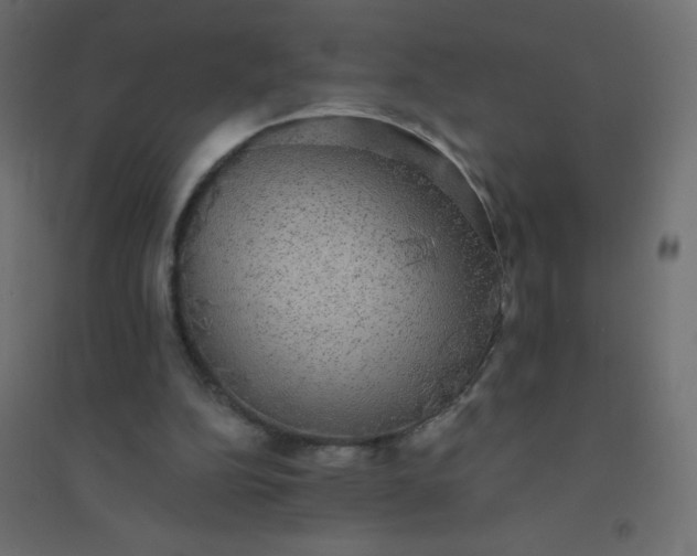 X0000094460152200711211548