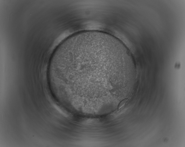 X0000094460155200711211548