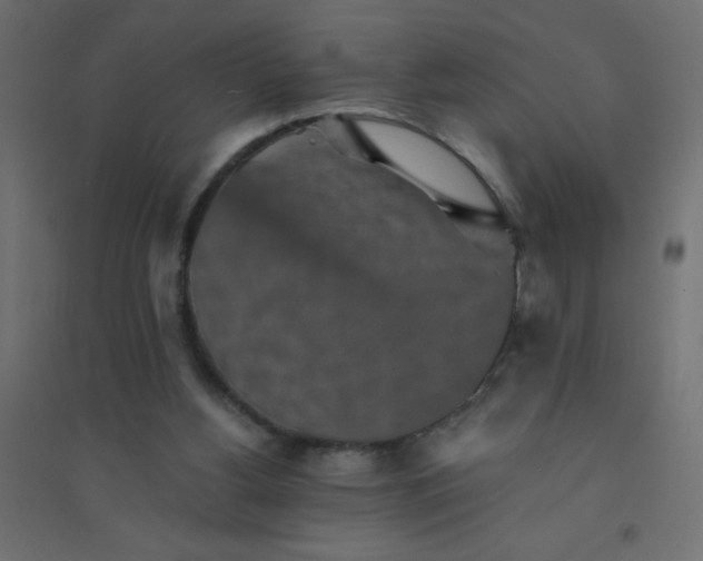 X0000094460156200711211548