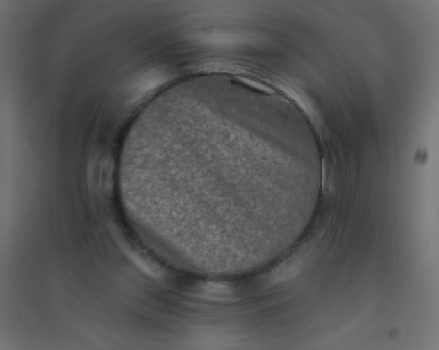 X0000094460157200711211548