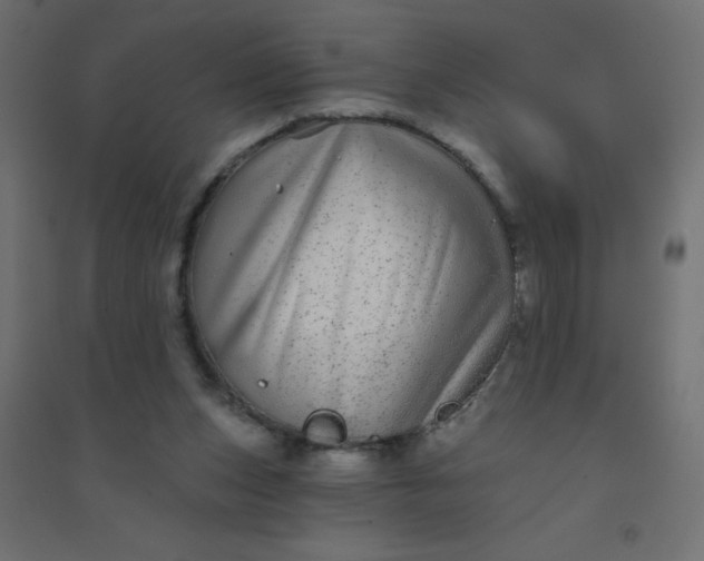 X0000094460159200711211548