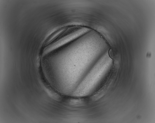 X0000094460160200711211548