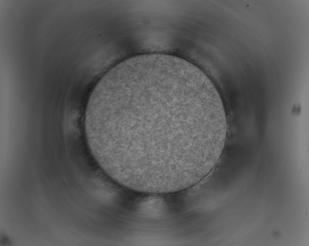 X0000094460162200711211548