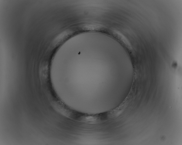 X0000094460163200711211548