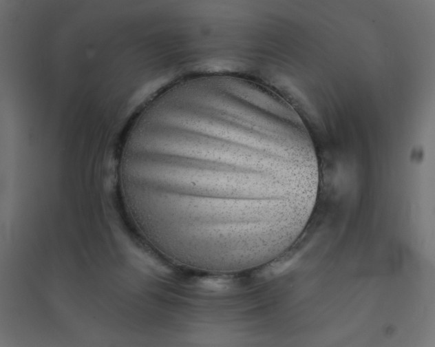 X0000094460164200711211548