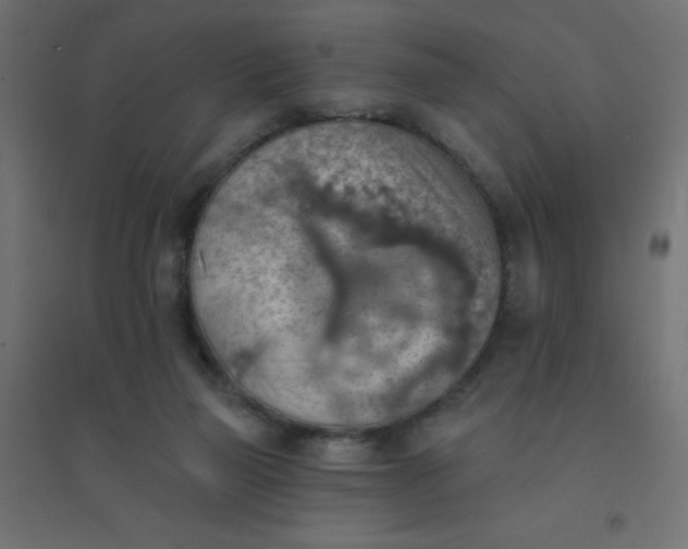 X0000094460165200711211548