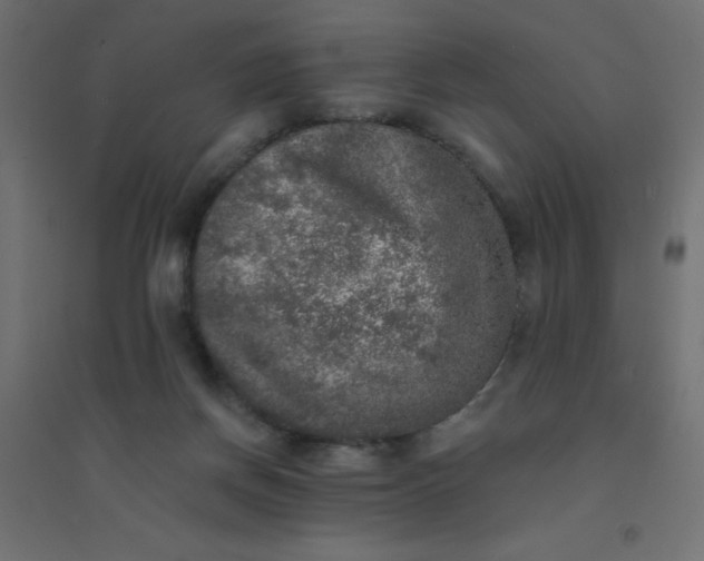 X0000094460166200711211548