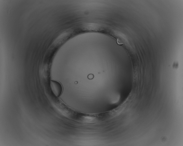 X0000094460167200711211548