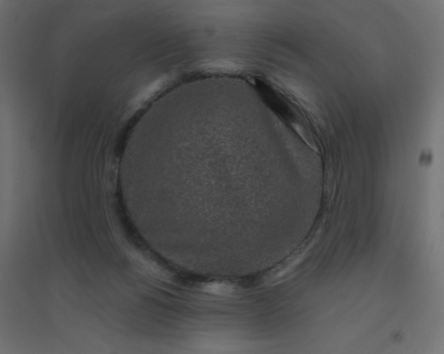 X0000094460168200711211548