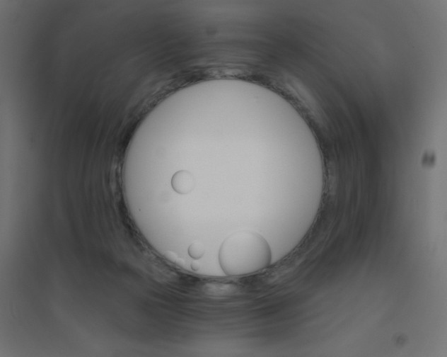 X0000094460169200711211548