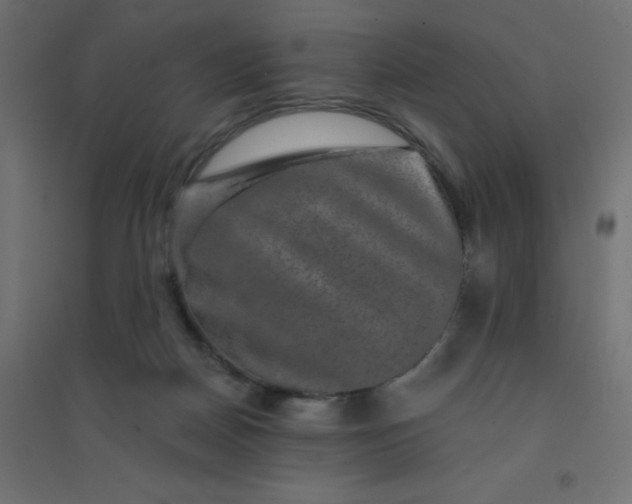 X0000094460170200711211548