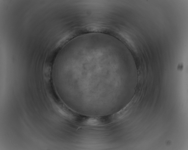 X0000094460171200711211548