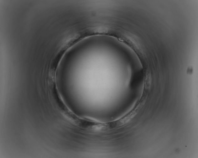 X0000094460172200711211548